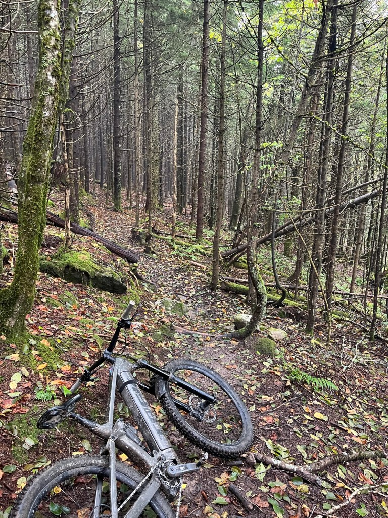 A mountain bike lying on a dirt trail surrounded by tall trees in a forest. The ground is covered with fallen leaves and moss. The scene is overcast and suggests a peaceful, natural environment.