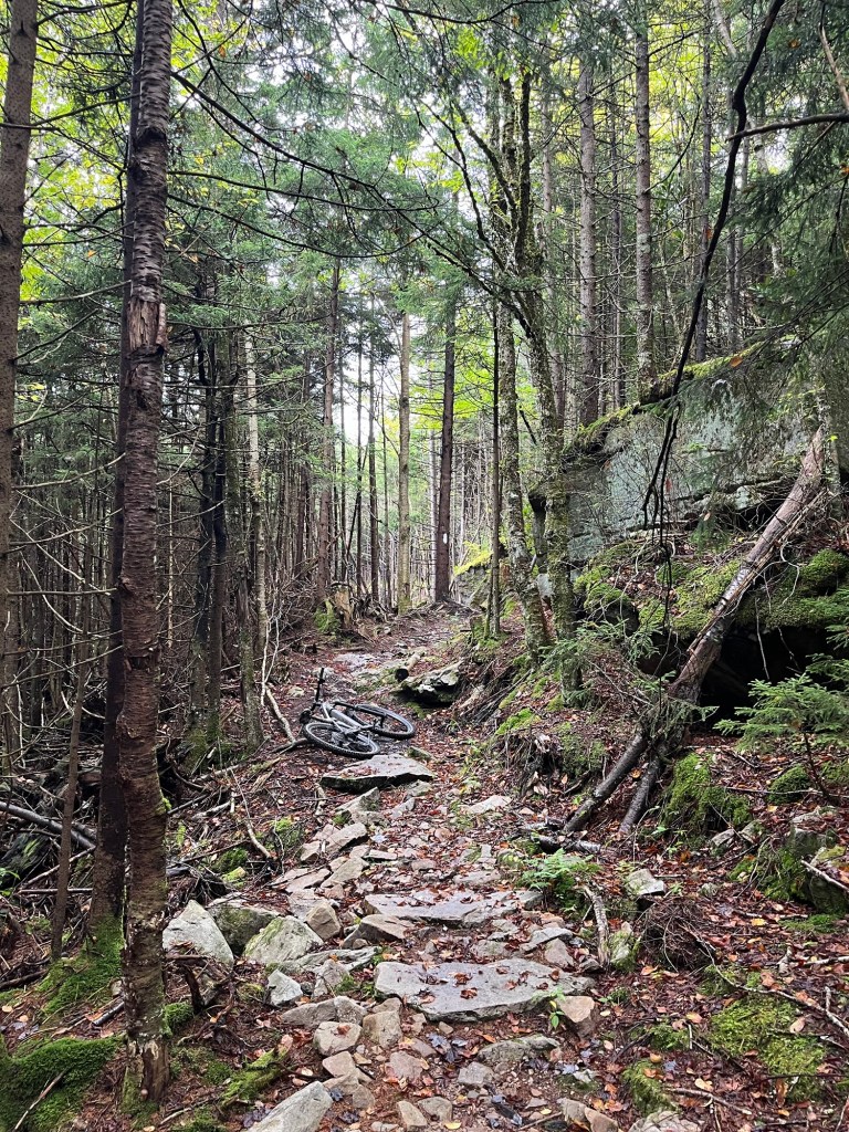 A rocky trail winding through a dense forest, with tall trees on either side and patches of green moss and leaves scattered along the path. A bicycle rests on the ground beside the trail.