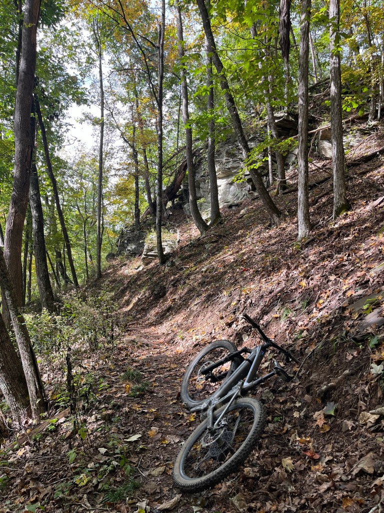 A mountain bike lying on its side on a dirt path surrounded by trees and fallen leaves in a forested area.
