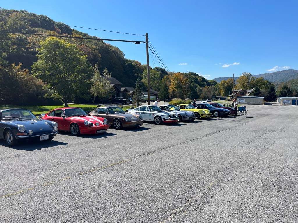 A lineup of classic cars parked in an open area, with a mix of colors and models under a clear blue sky and surrounded by trees.