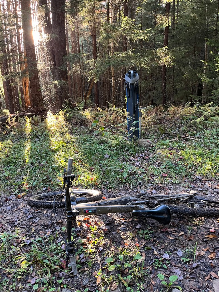 A mountain bike lying on the forest floor with a bike repair station in the background, surrounded by trees and sunlight filtering through the leaves.